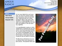 Designs &copy; 2007 API Web Services