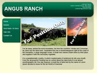 Designs &copy; 2007 API Web Services