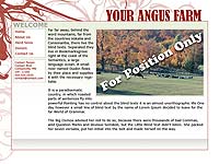Designs &copy; 2007 API Web Services