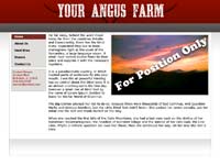 Designs &copy; 2007 API Web Services