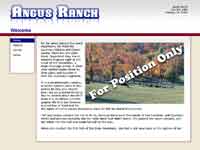 Designs &copy; 2007 API Web Services