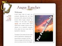 Designs &copy; 2007 API Web Services
