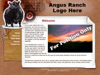 Designs &copy; 2007 API Web Services