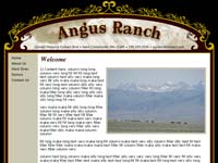 Designs &copy; 2007 API Web Services