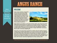 Designs &copy; 2007 API Web Services