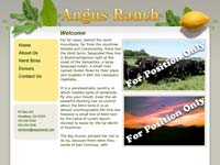 Designs &copy; 2007 API Web Services