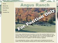 Designs &copy; 2007 API Web Services