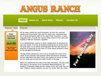Designs &copy; 2007 API Web Services