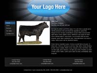 Designs &copy; 2007 API Web Services