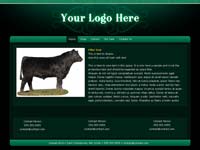 Designs &copy; 2007 API Web Services