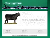 Designs &copy; 2007 API Web Services