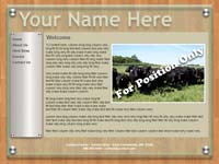 Designs &copy; 2007 API Web Services