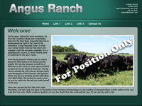 Designs &copy; 2007 API Web Services