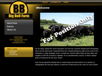 Designs &copy; 2007 API Web Services