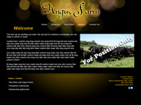 Designs &copy; 2007 API Web Services